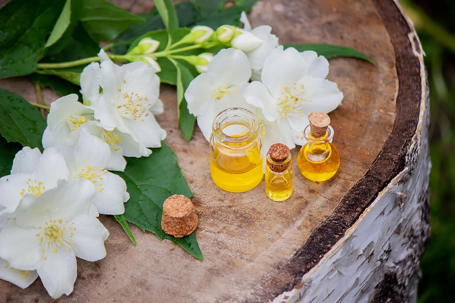 Jasmine Oil | Restorative Oil Serum | Mayka Skin Solutions