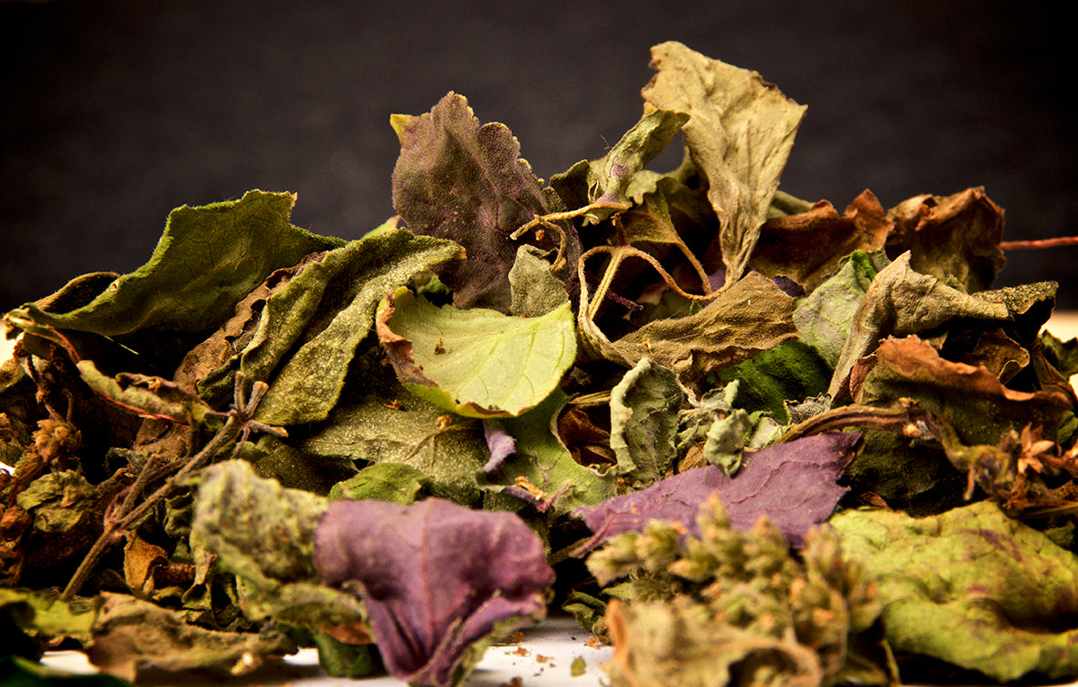 Patchouli Oil |  Therapeutic Grade Essential Oils